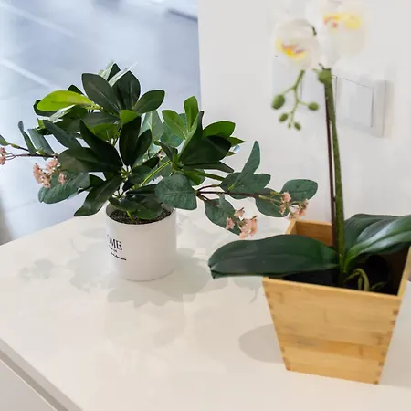 Mar T2 - By Smarthomes アパート *